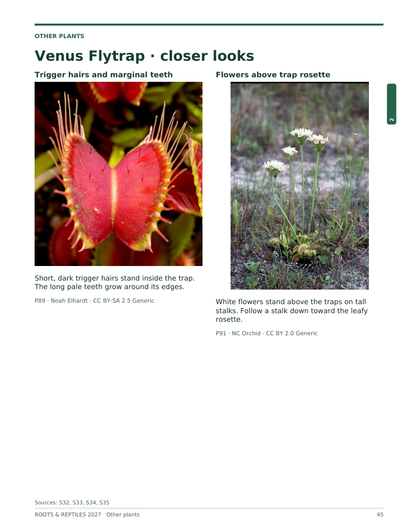 A page from the guide comparing a Venus Flytrap's trigger hairs and marginal teeth, with flowers above the trap rosette.